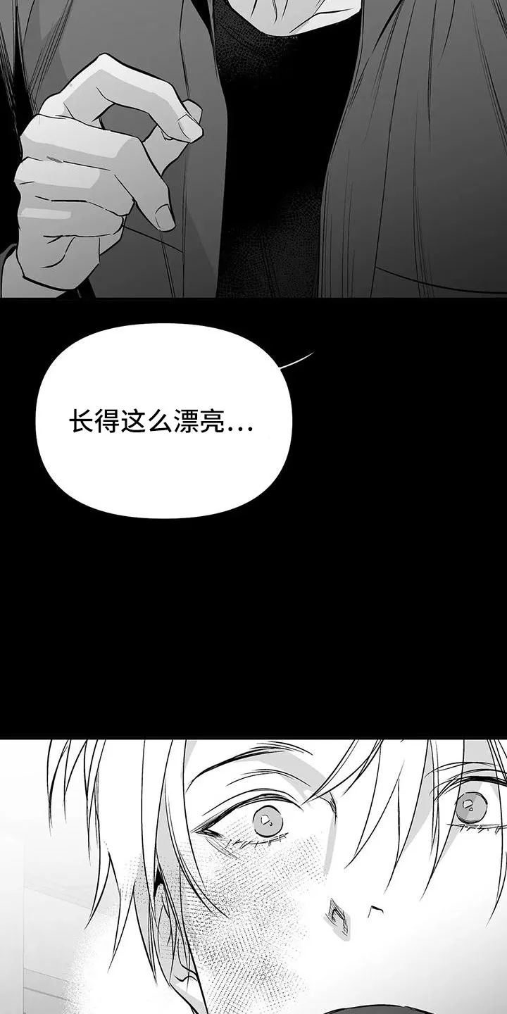 拳击手动漫漫画漫画,第199章：【第三季】怎么才能喜欢28图