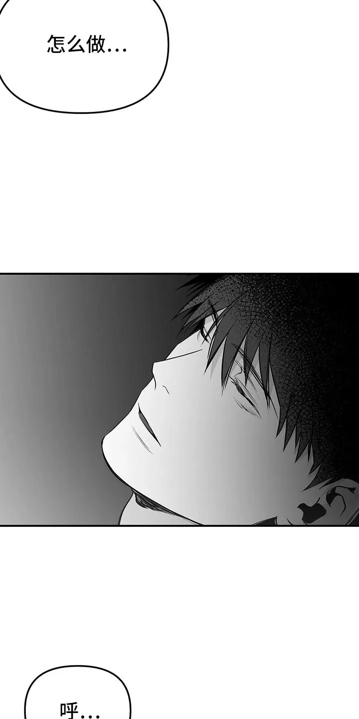 拳击手动漫漫画漫画,第199章：【第三季】怎么才能喜欢37图
