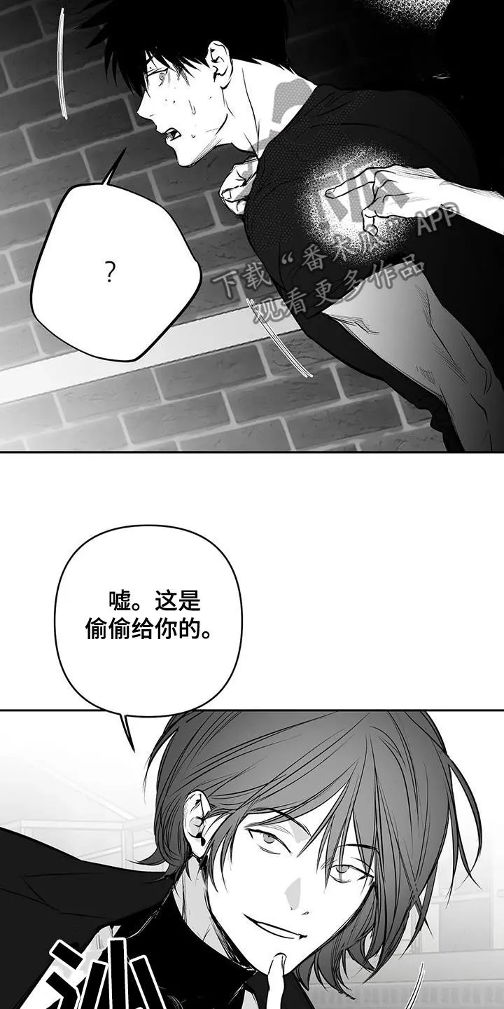拳击手漫画吧漫画,第169章：【第三季】还有明天4图