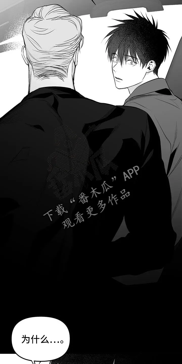 拳击手漫画卡西姆漫画,第212章：【第三季】条件是什么来着11图