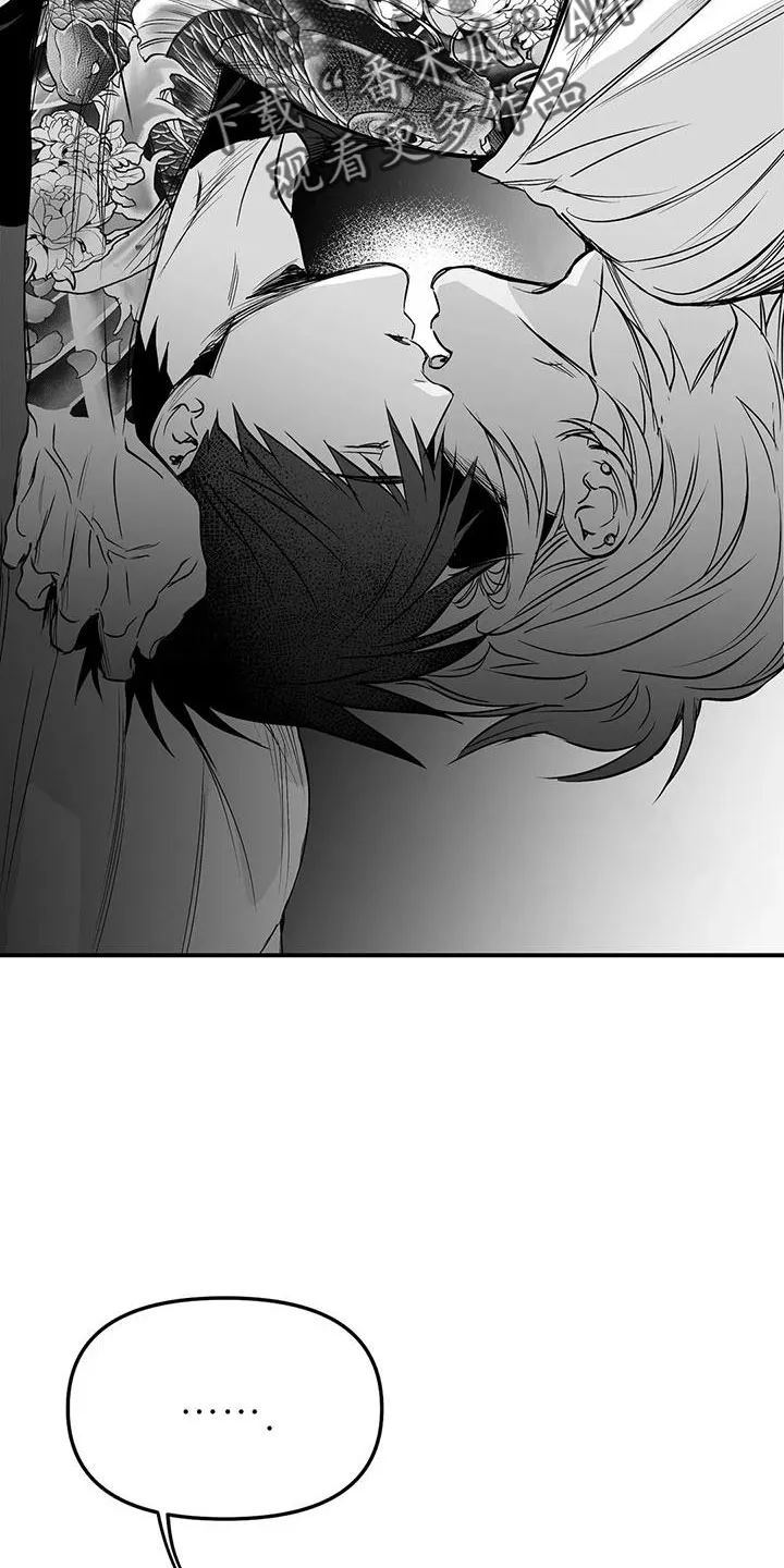 拳击手动漫漫画漫画,第199章：【第三季】怎么才能喜欢33图