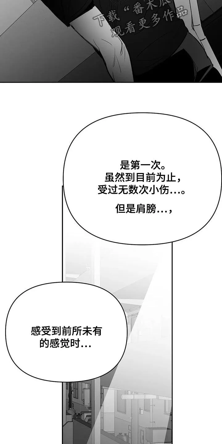 拳击手漫画吧漫画,第169章：【第三季】还有明天20图
