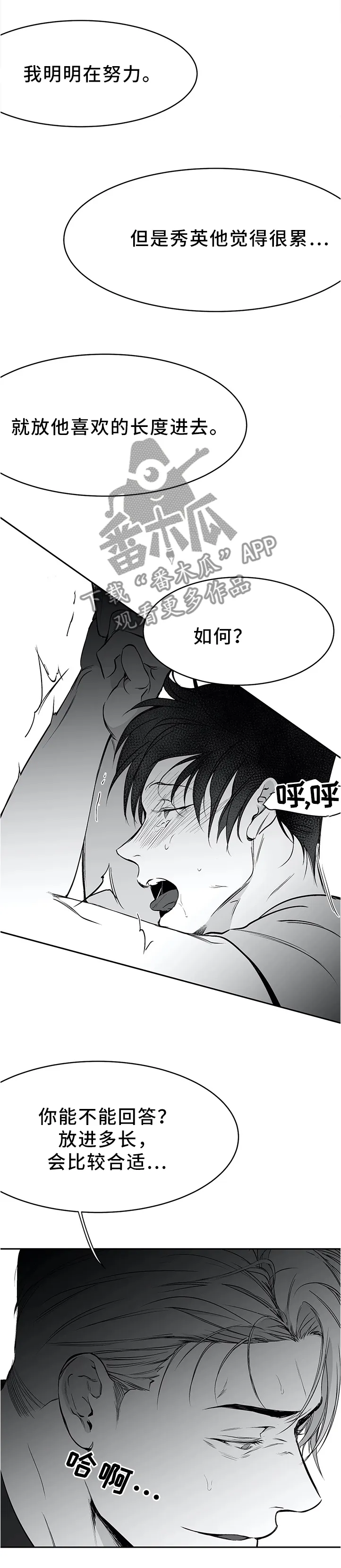拳击手漫画免费观看全集漫画,第57章：如你所愿8图