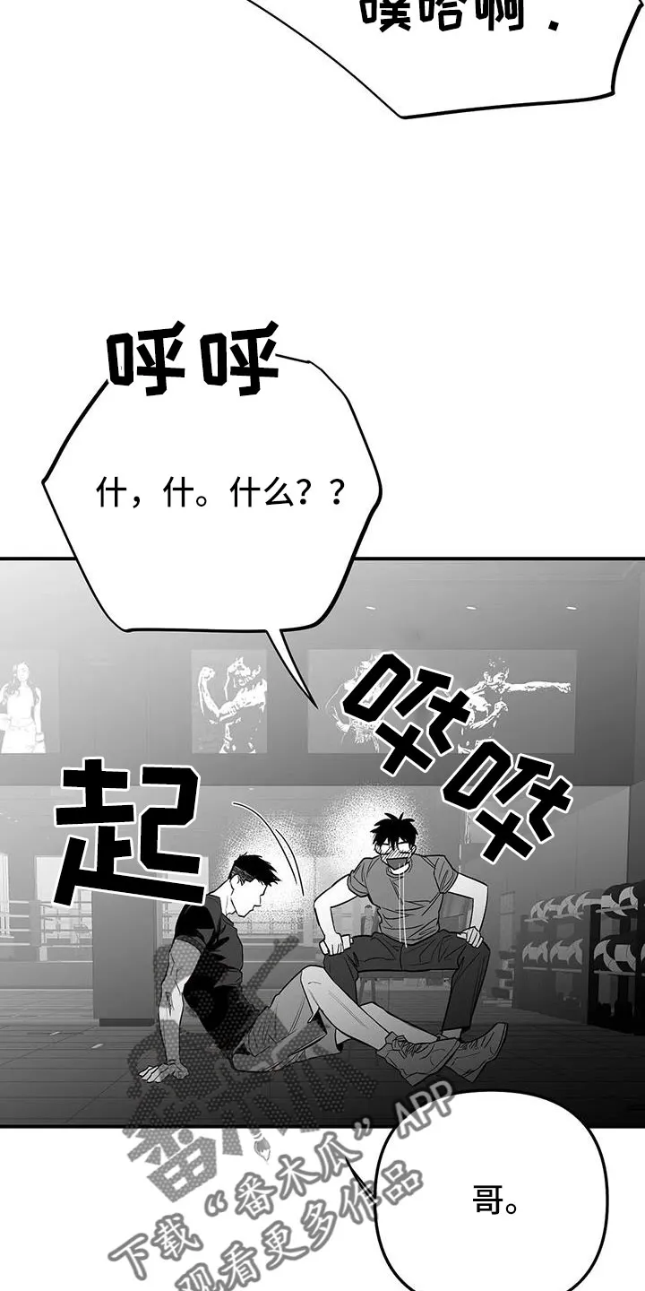 拳击手漫画免费阅读漫画,第214章：【第三季】那人很危险19图
