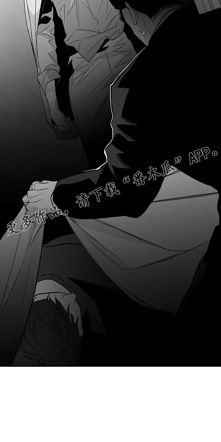拳击手漫画漫画,第221章：【第三季】死了43图