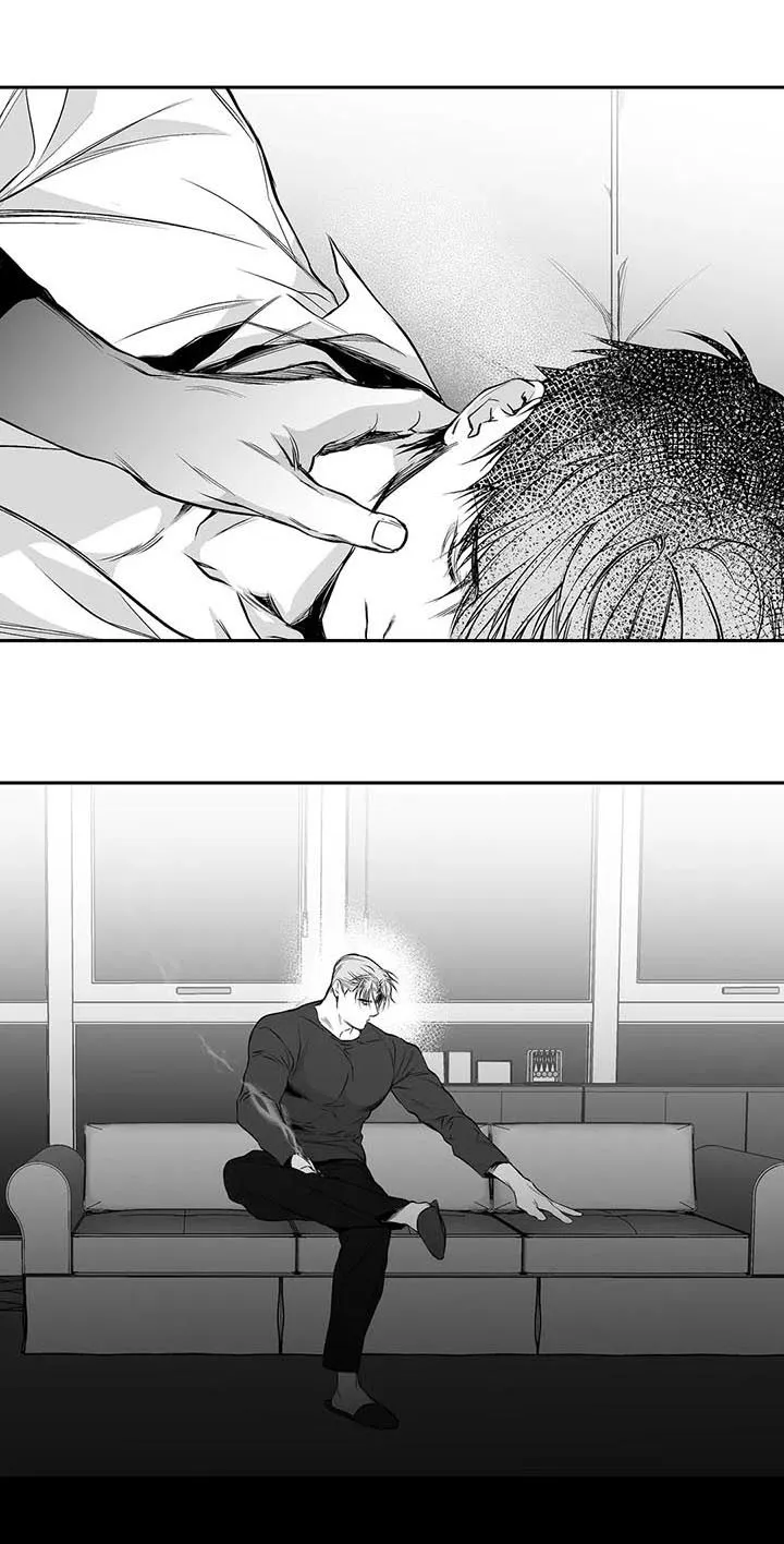 拳击手漫画免费阅读漫画,第84章：到底怎么回事5图