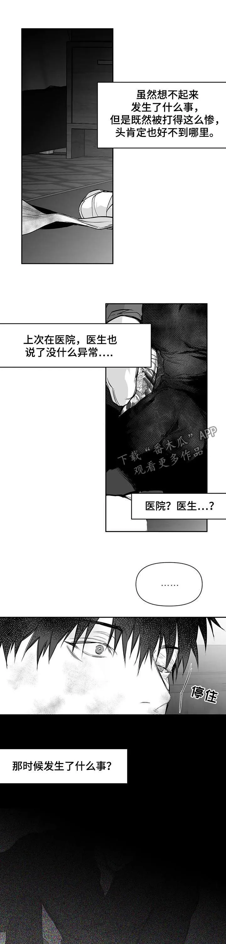 拳击手漫画图片漫画,第125章：【第二季】站队9图