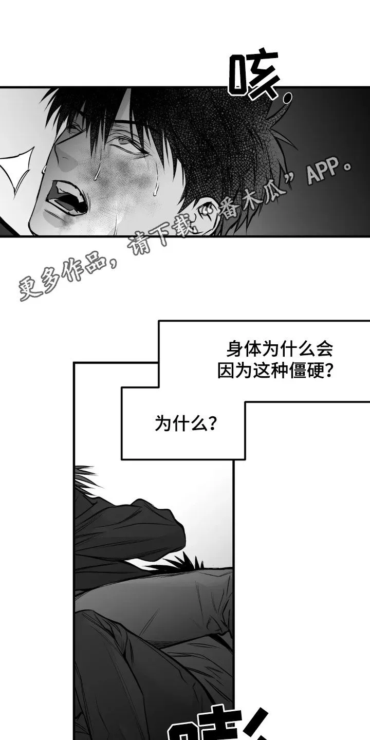 拳击手漫画免费版在线观看漫画,第255章：【第三季】我们聊聊1图