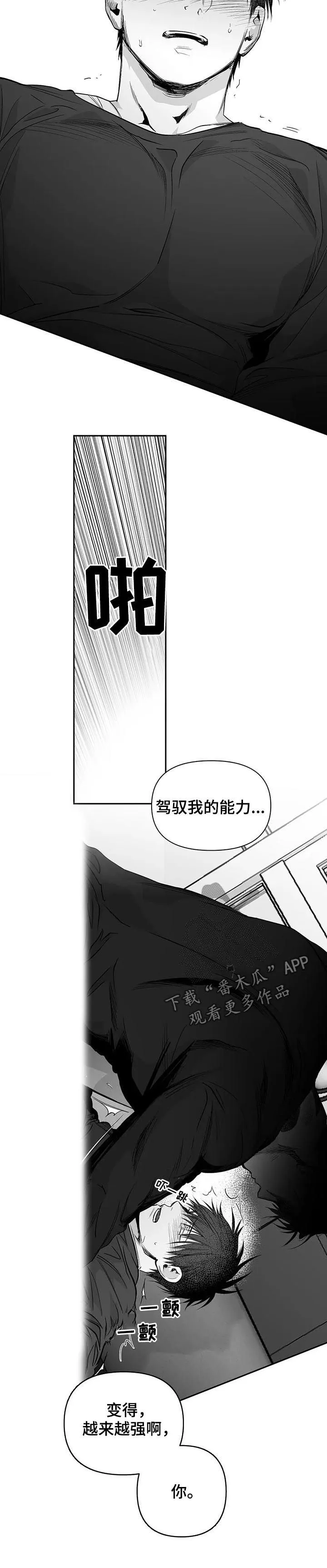 拳击手 漫画漫画,第93章：【第二季】不要受伤6图