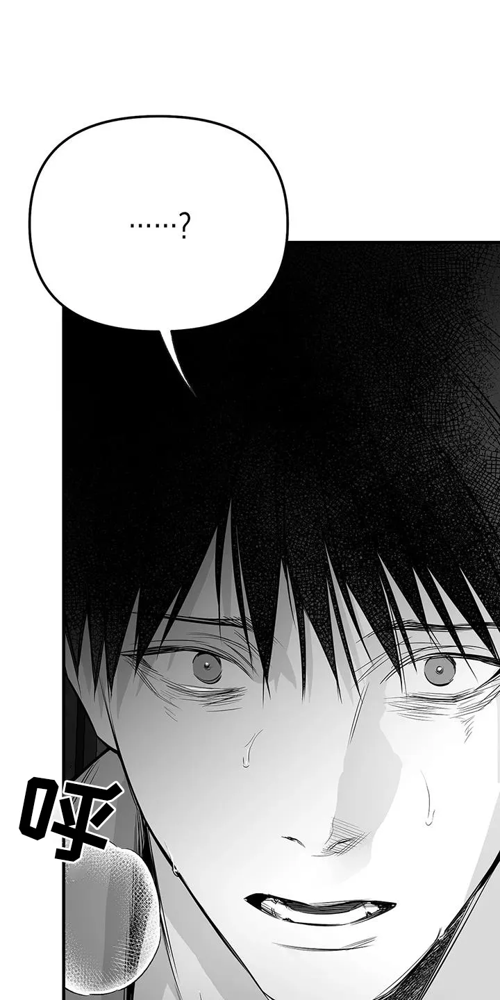 拳击手漫画吧漫画,第232章：【第三季】不要讨厌我5图