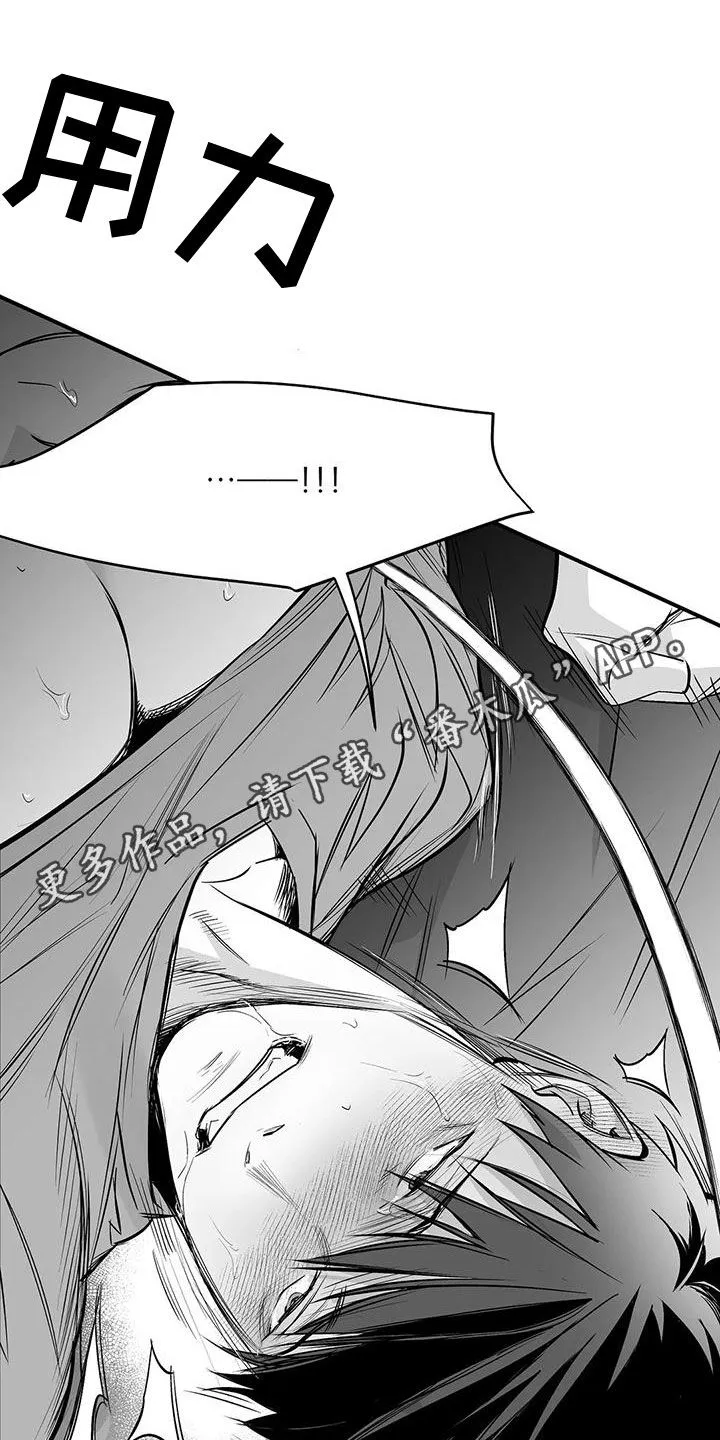拳击手漫画漫画,第190章：【第三季】开心1图