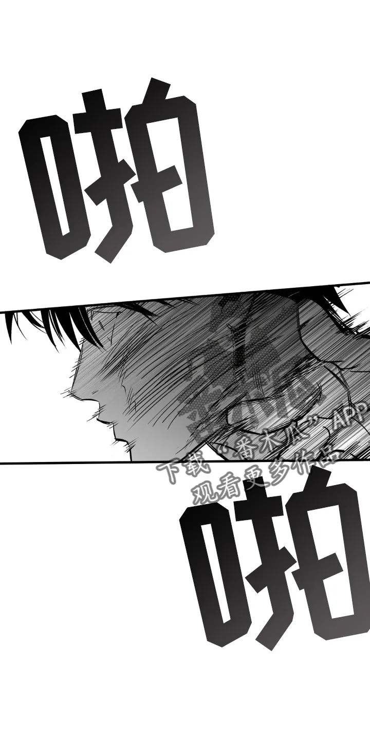 拳击手 漫画漫画,第252章：【第三季】大叔18图