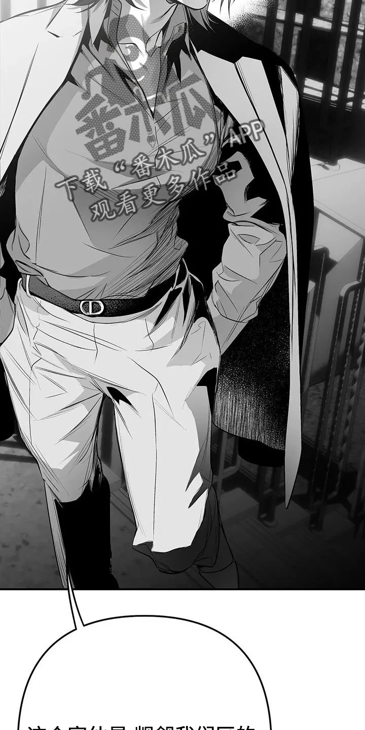 拳击手漫画漫画,第221章：【第三季】死了17图