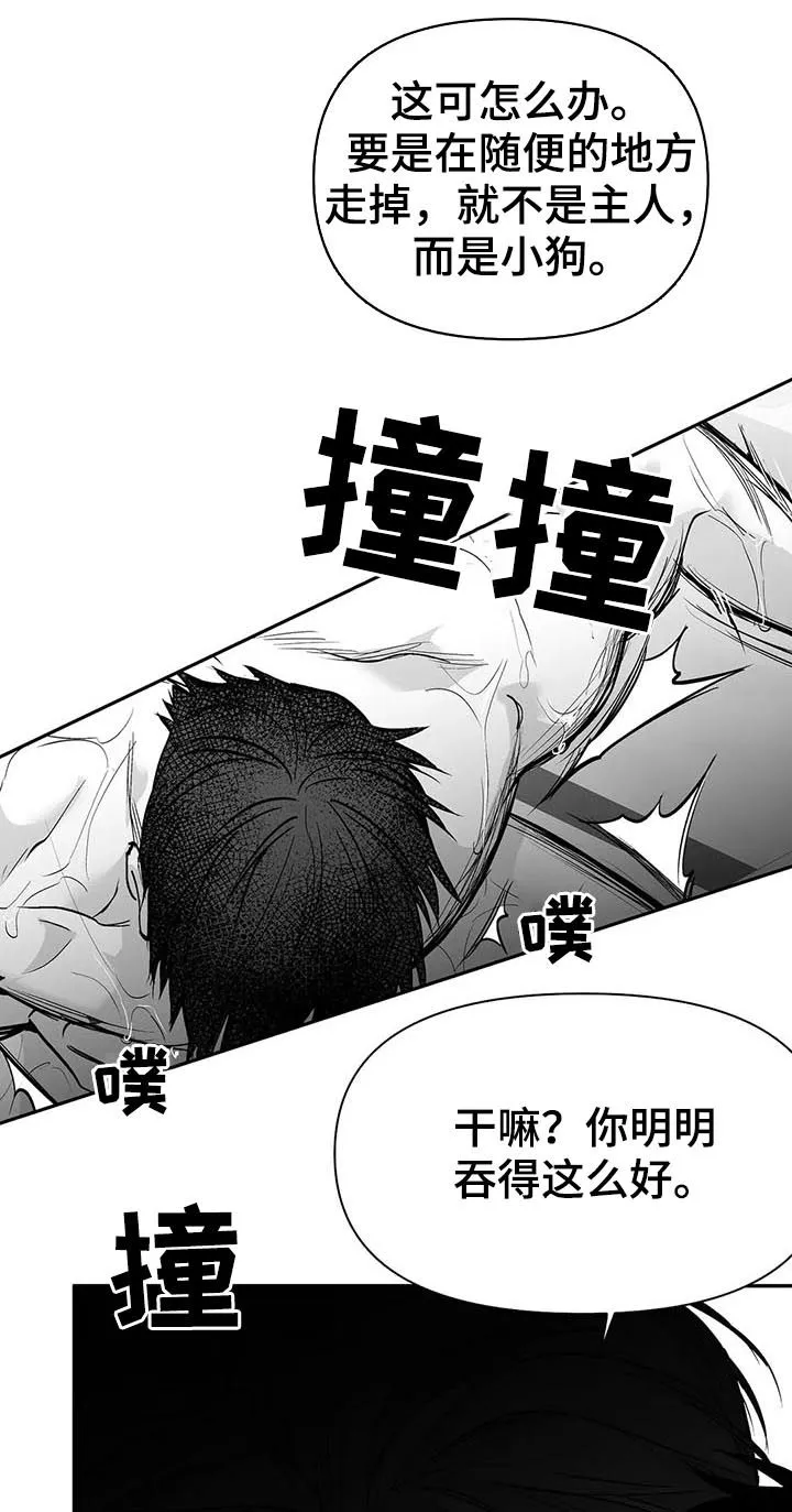 拳击手漫画全集免费阅读下拉式漫画,第112章：【第二季】很好奇3图