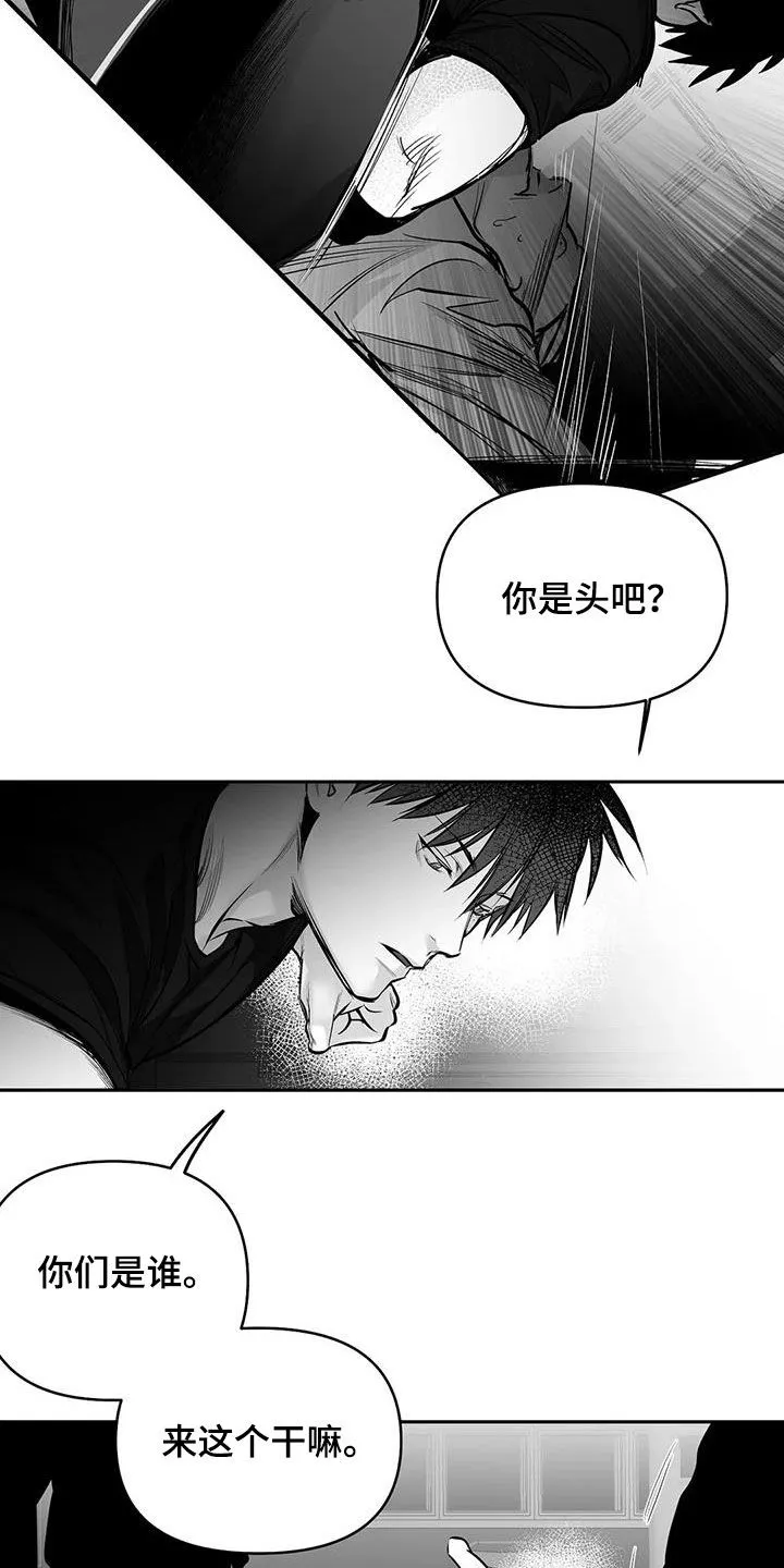 拳击手漫画头像漫画,第165章：【第三季】碾压6图