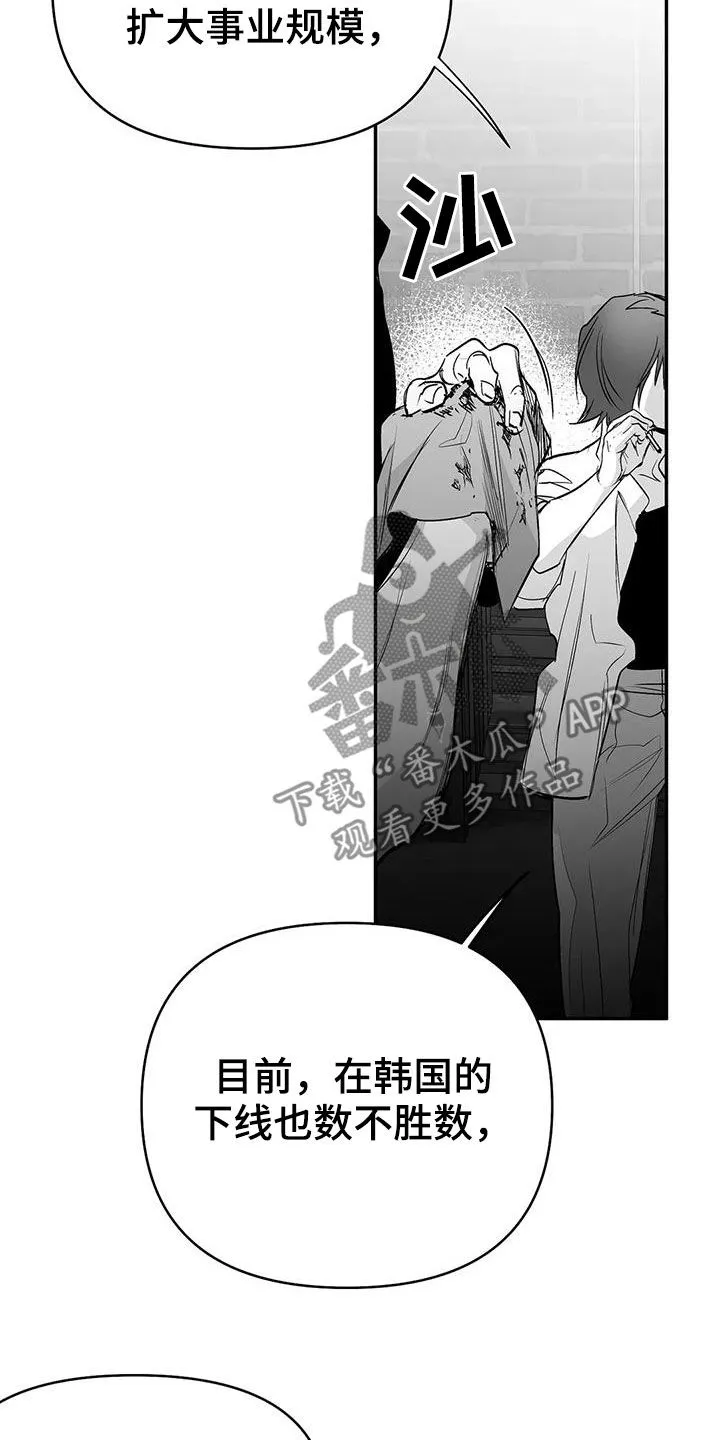 拳击手漫画全集免费阅读下拉式漫画,第183章：【第三季】每天死一个19图
