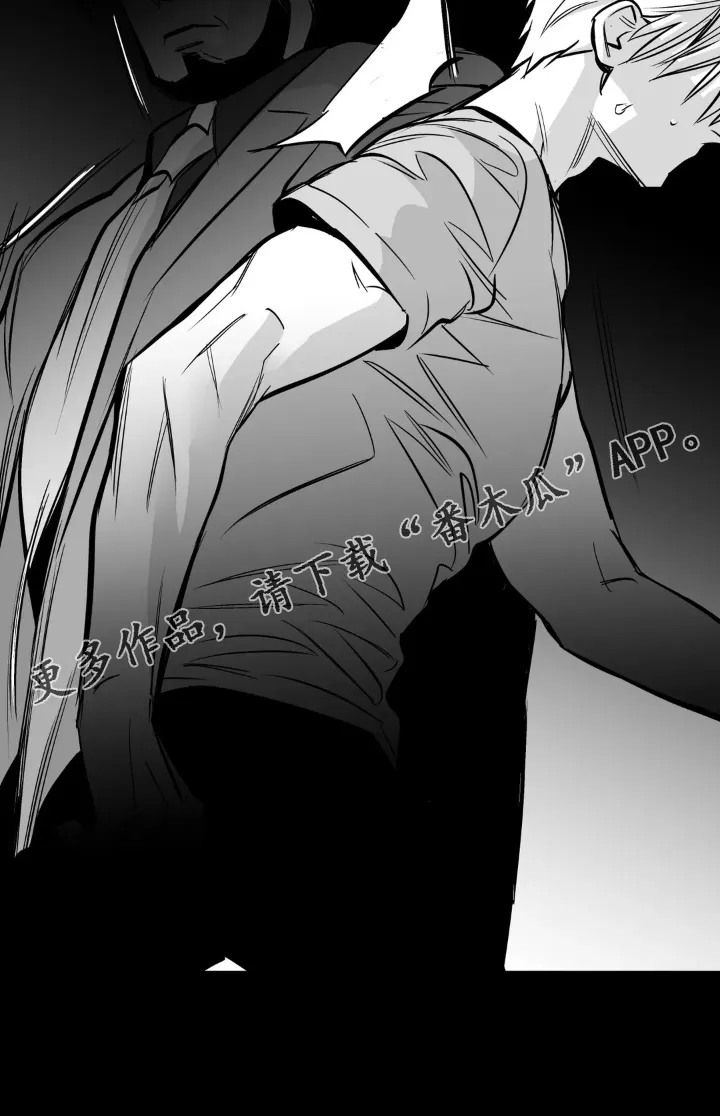 拳击手漫画卡西姆漫画,第239章：【第三季】眼熟33图