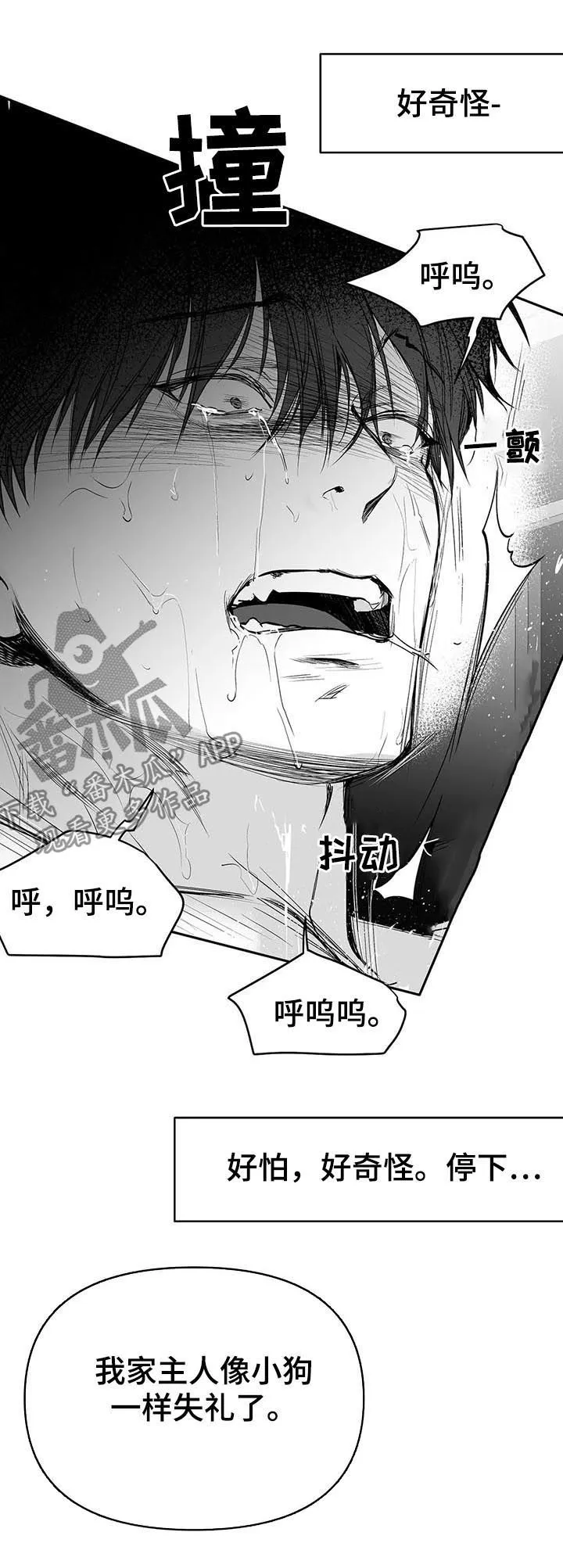 拳击手漫画全集免费阅读下拉式漫画,第112章：【第二季】很好奇2图