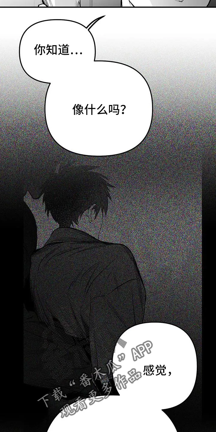 拳击手漫画漫画,第215章：【第三季】不像自己16图