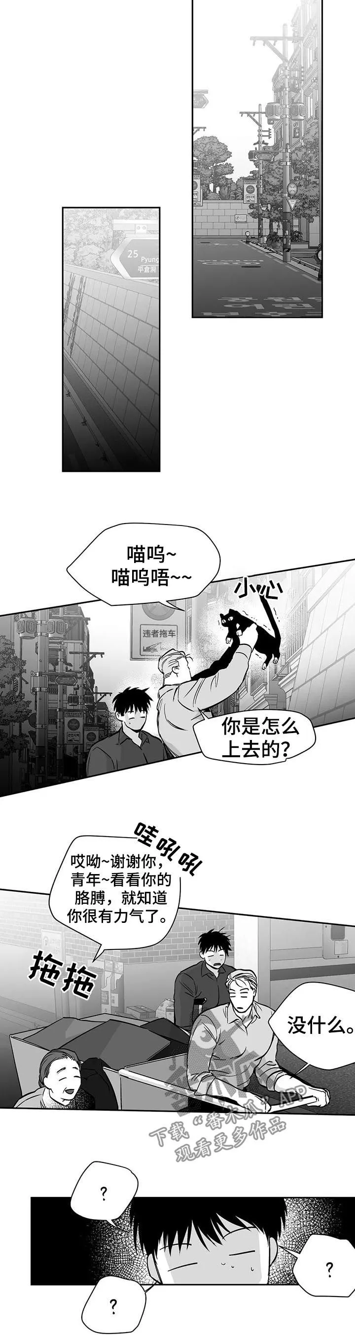 拳击手漫画免费漫画,第78章：更重要的东西3图