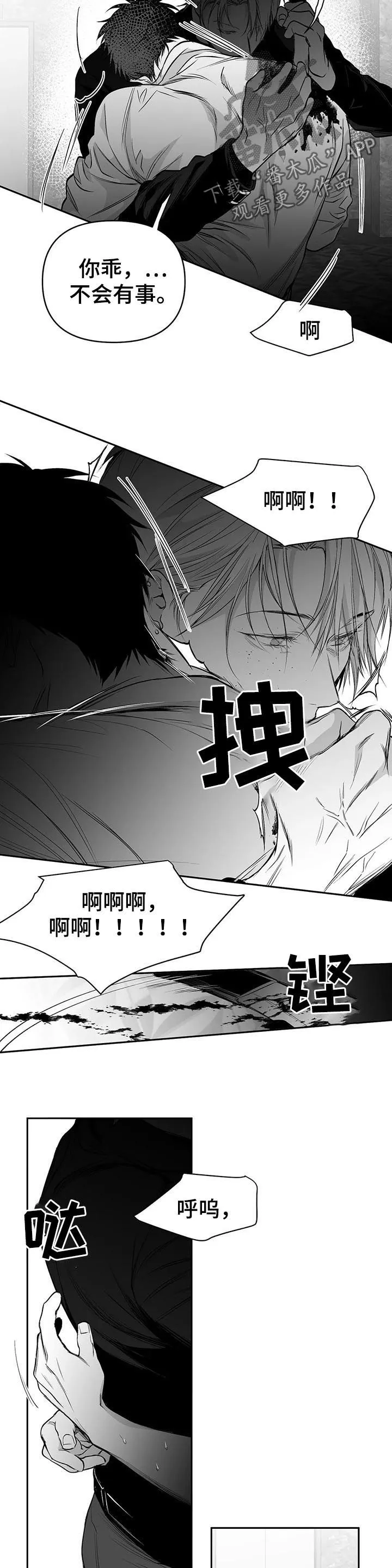 拳击手漫画图片漫画,第87章：我来接你（第一季完结）4图
