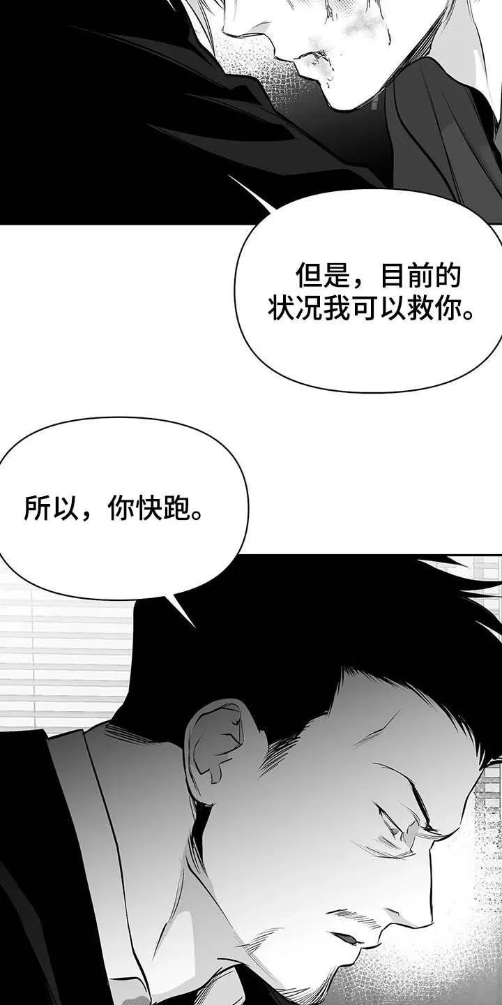 拳击手漫画全集免费阅读下拉式漫画,第148章：【第三季】我可以救你15图