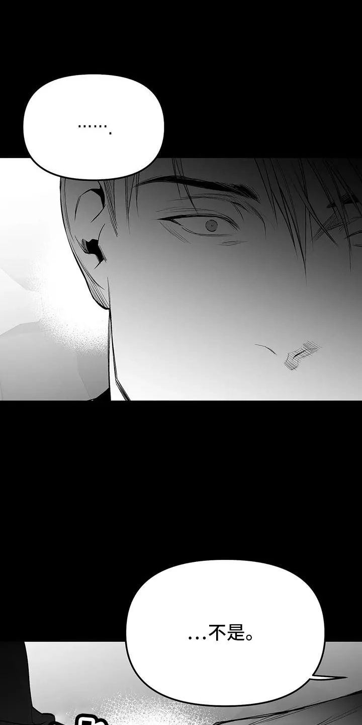 拳击手漫画卡西姆漫画,第212章：【第三季】条件是什么来着13图