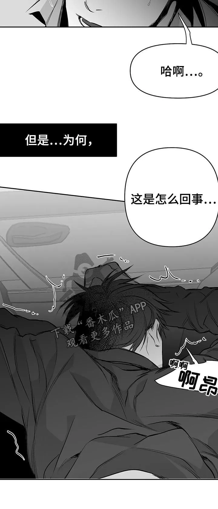拳击手 漫画漫画,第80章：无法忍住14图
