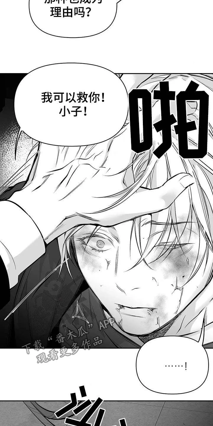 拳击手漫画全集免费阅读下拉式漫画,第148章：【第三季】我可以救你8图
