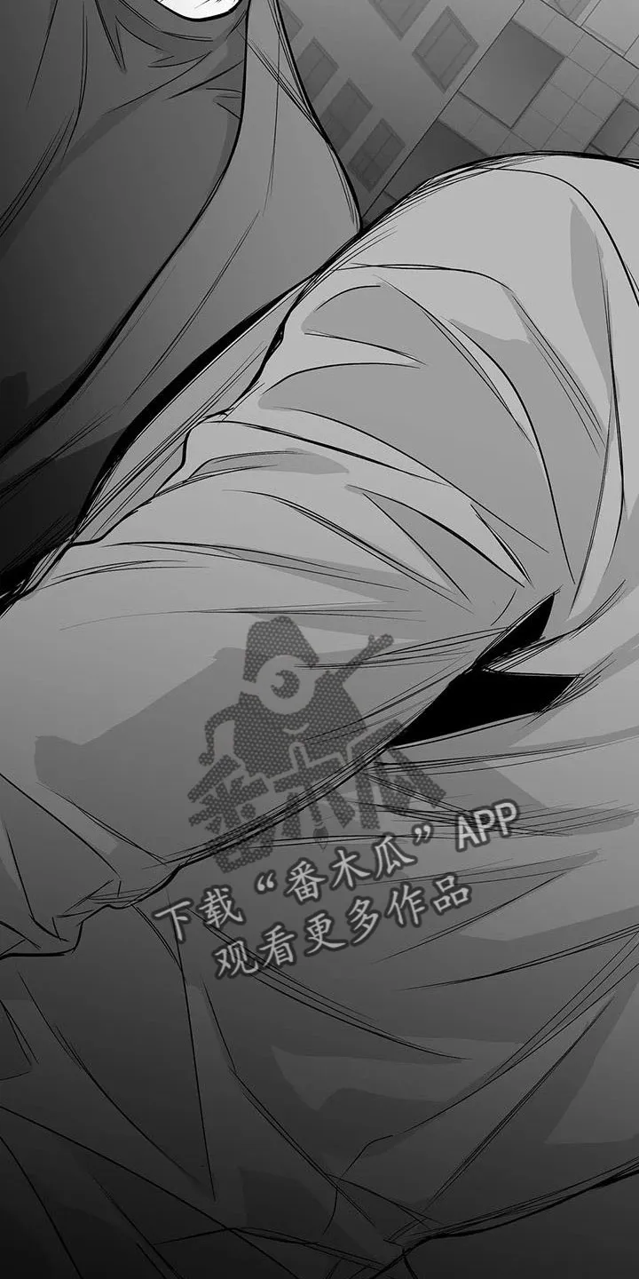 拳击手漫画图片漫画,第219章：【第三季】帮你治腿33图