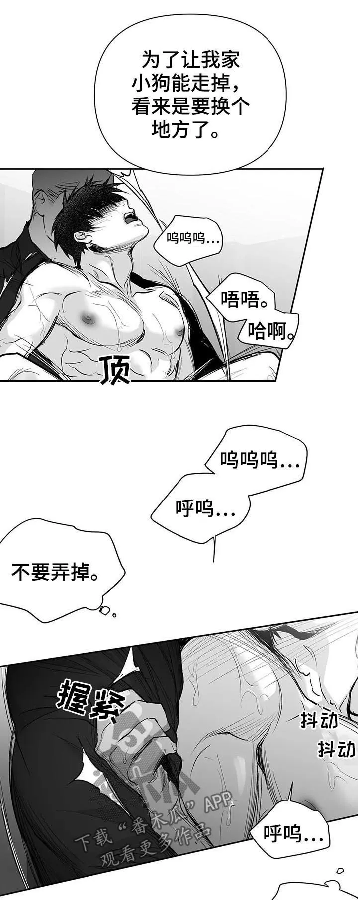 拳击手漫画全集免费阅读下拉式漫画,第112章：【第二季】很好奇5图
