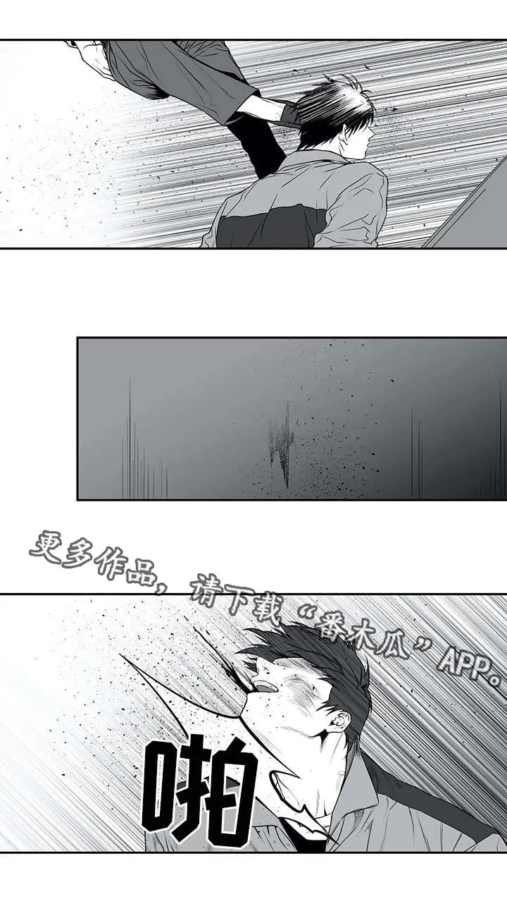 拳击手漫画漫画,第5章：债务11图