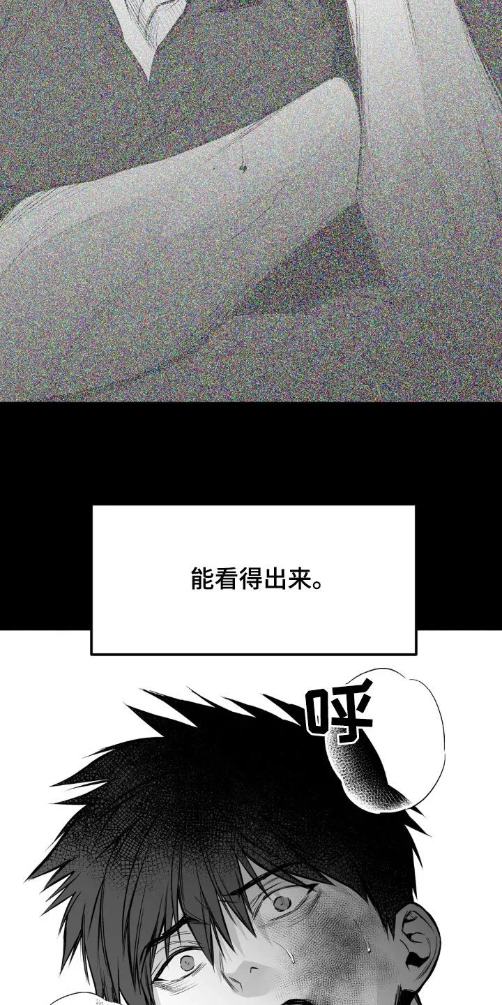 拳击手漫画免费版在线观看漫画,第255章：【第三季】我们聊聊13图