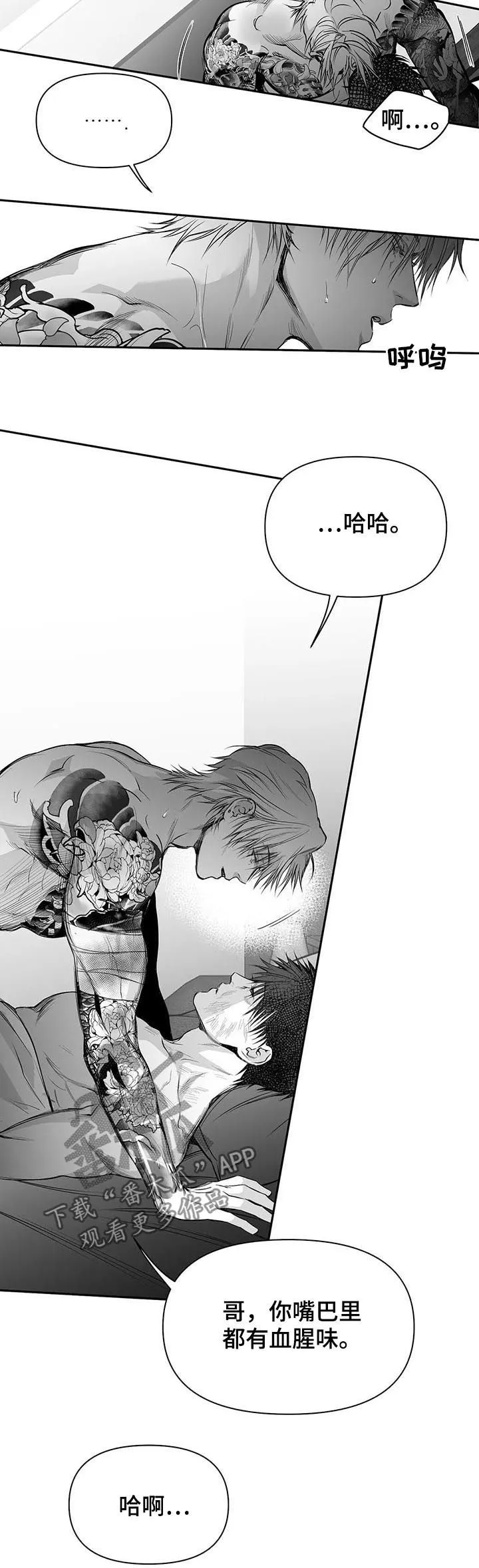拳击手漫画免费版在线观看漫画,第121章：【第二季】到此为止吧4图