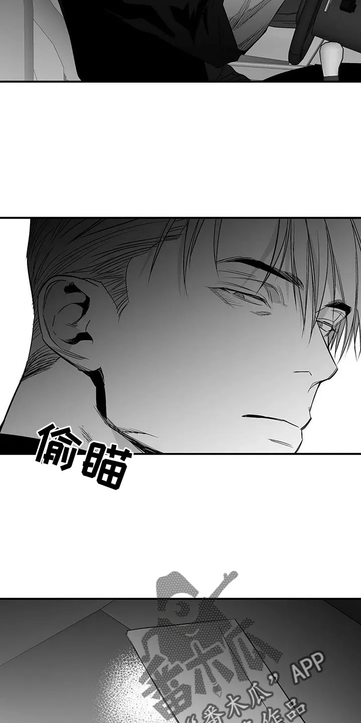 拳击手动漫漫画漫画,第213章：【第三季】果然迟25图