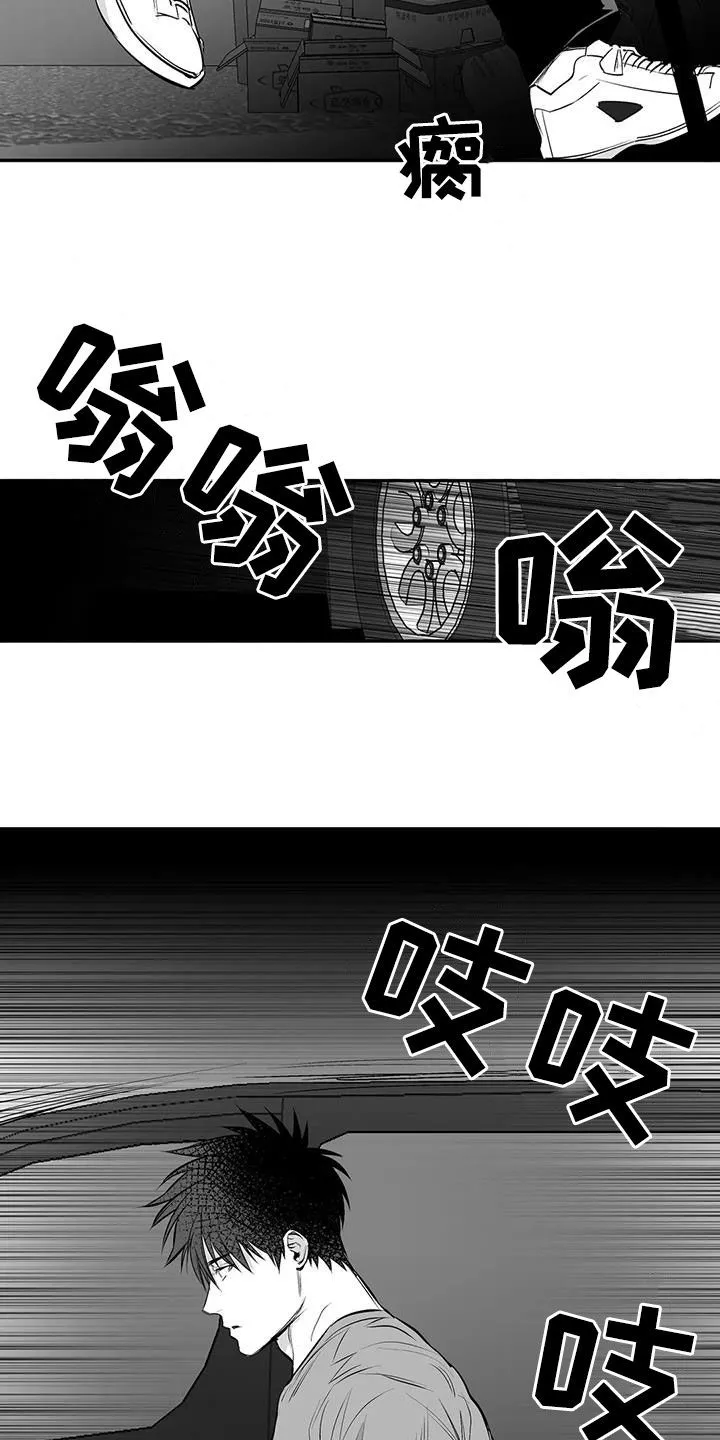 拳击手漫画全集免费阅读下拉式漫画,第183章：【第三季】每天死一个12图