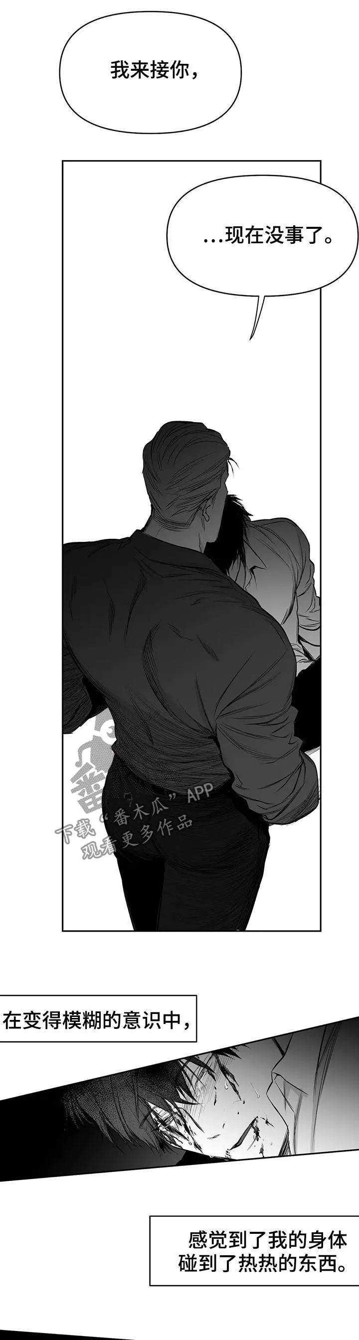 拳击手漫画图片漫画,第87章：我来接你（第一季完结）13图