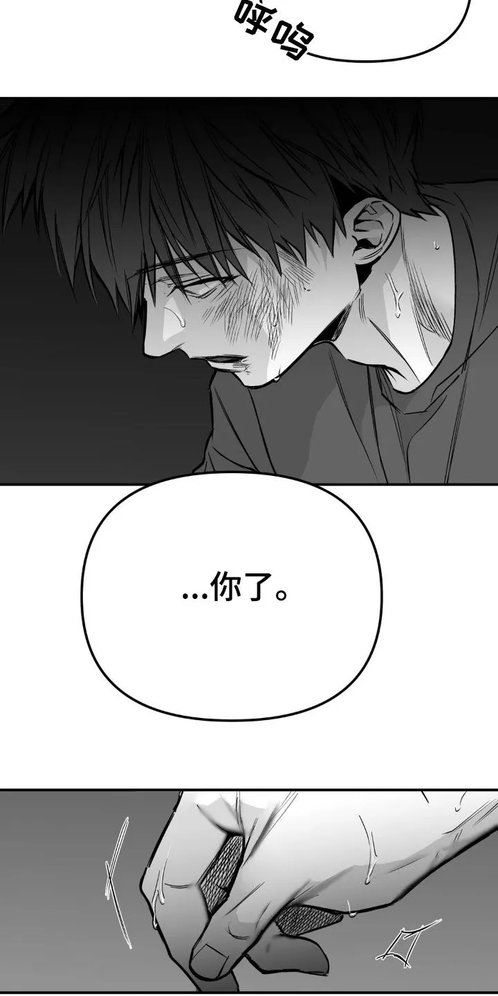 拳击手漫画免费版在线观看漫画,第255章：【第三季】我们聊聊17图