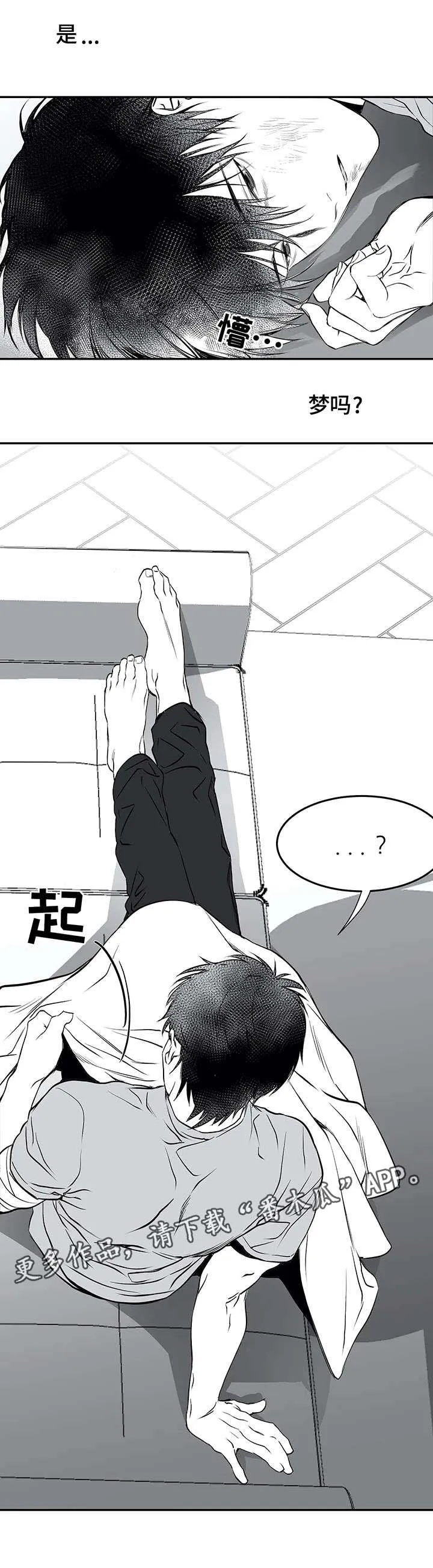 拳击手漫画李施河漫画,第19章：组织2图