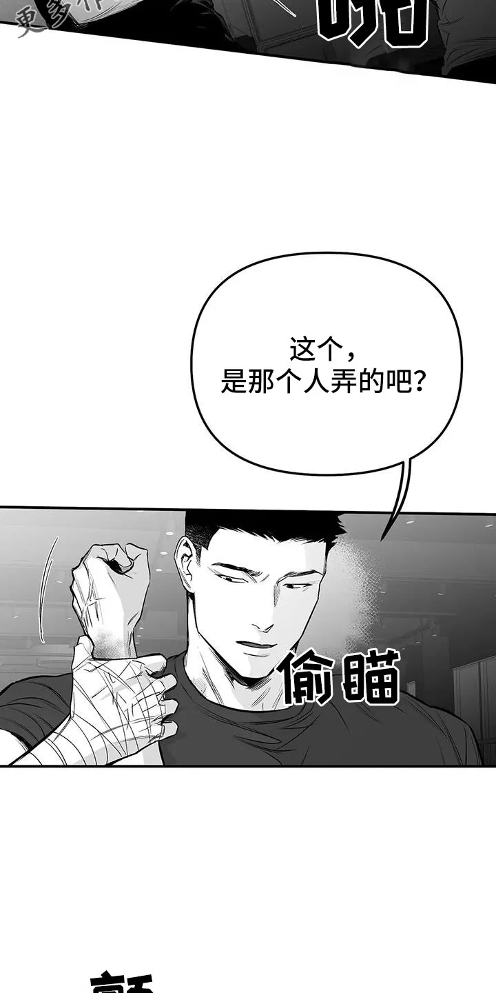 拳击手漫画漫画,第215章：【第三季】不像自己14图