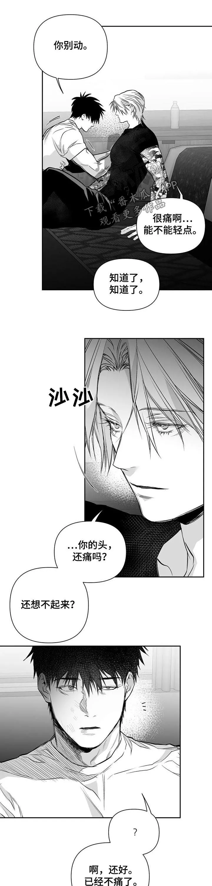 拳击手漫画图片漫画,第125章：【第二季】站队7图