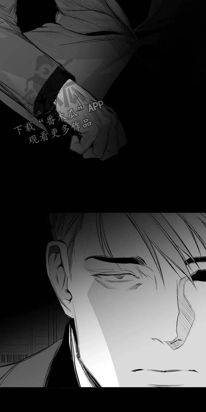 拳击手 漫画漫画,第157章：【第三季】明星律师19图