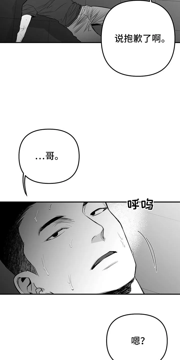 拳击手漫画免费阅读漫画,第214章：【第三季】那人很危险17图