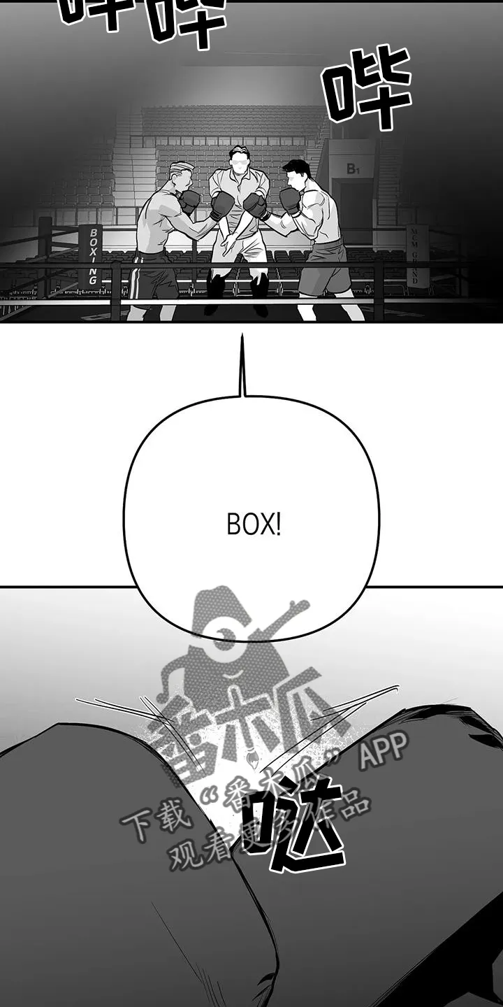 拳击手 漫画漫画,第226章：【第三季】比赛20图