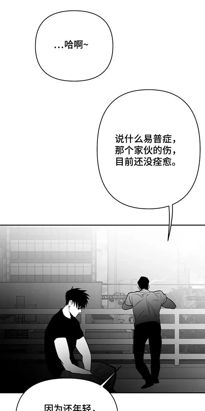 拳击手漫画免费jh漫画,第174章：【第三季】易普症14图