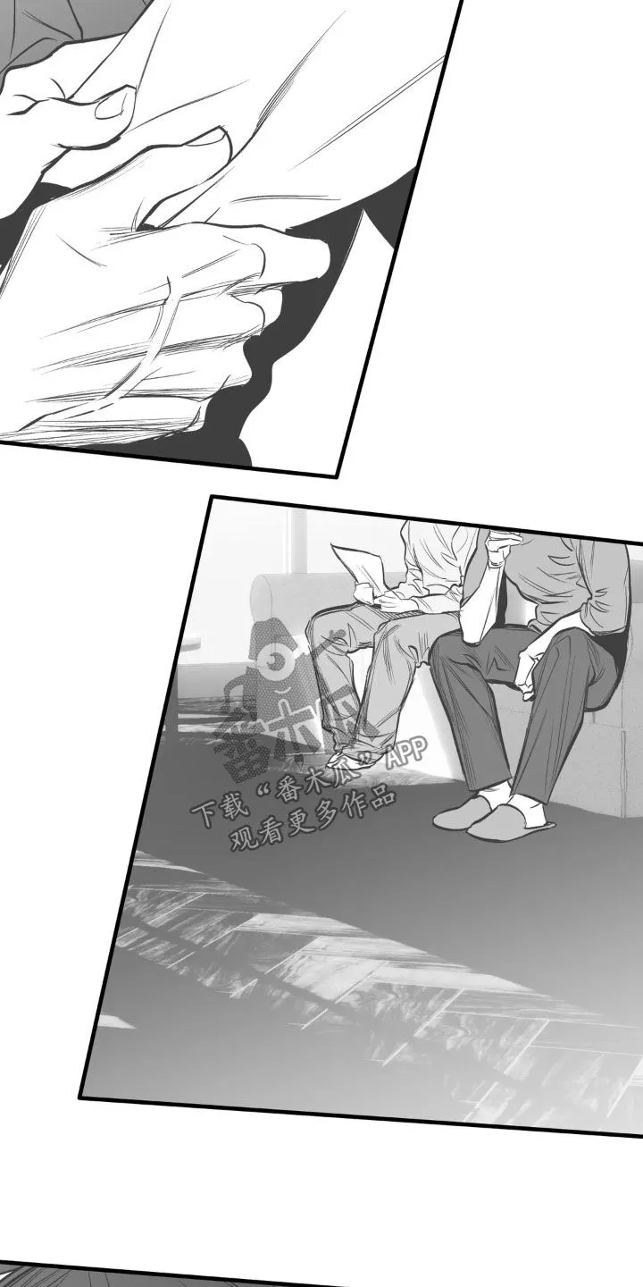 拳击手漫画李施河漫画,第258章：【第三季】最可怕了12图