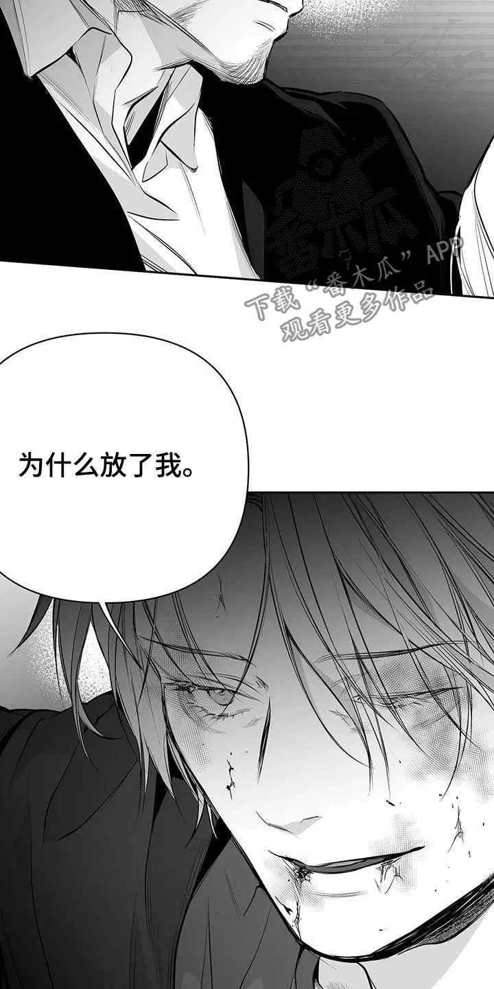 拳击手漫画全集免费阅读下拉式漫画,第148章：【第三季】我可以救你3图