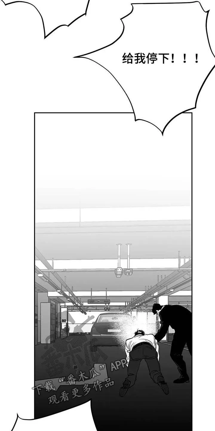 拳击手漫画漫画,第152章：【第三季】你完蛋了19图