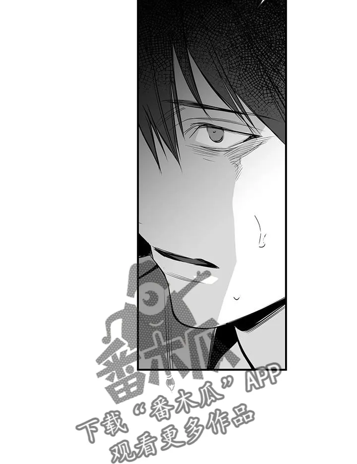 拳击手漫画吧漫画,第232章：【第三季】不要讨厌我4图