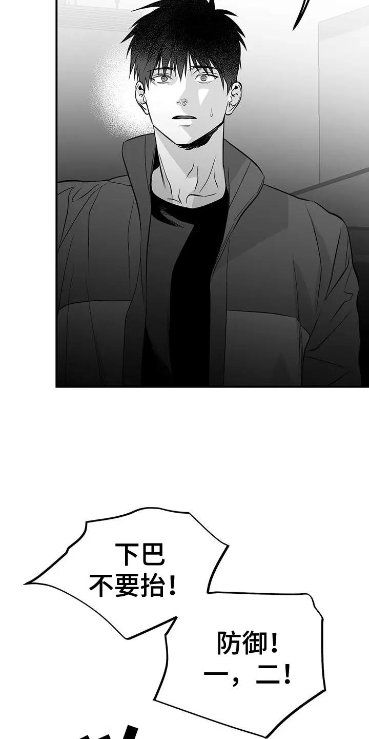 拳击手漫画头像漫画,第223章：【第三季】陪练25图